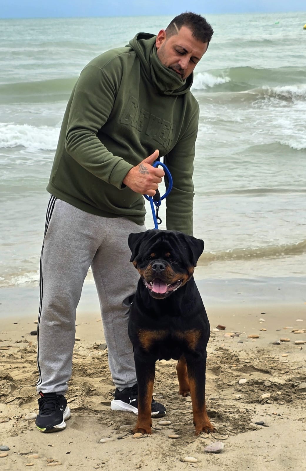 Rottweiler de Rottvale Kennel en la playa con su guía
