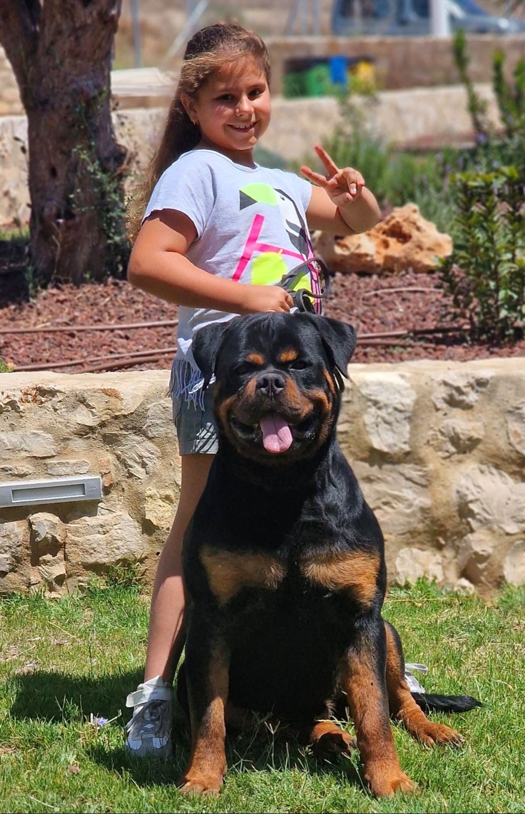 Rottweiler adulto de Rottvale Kennel con una niña sonriente