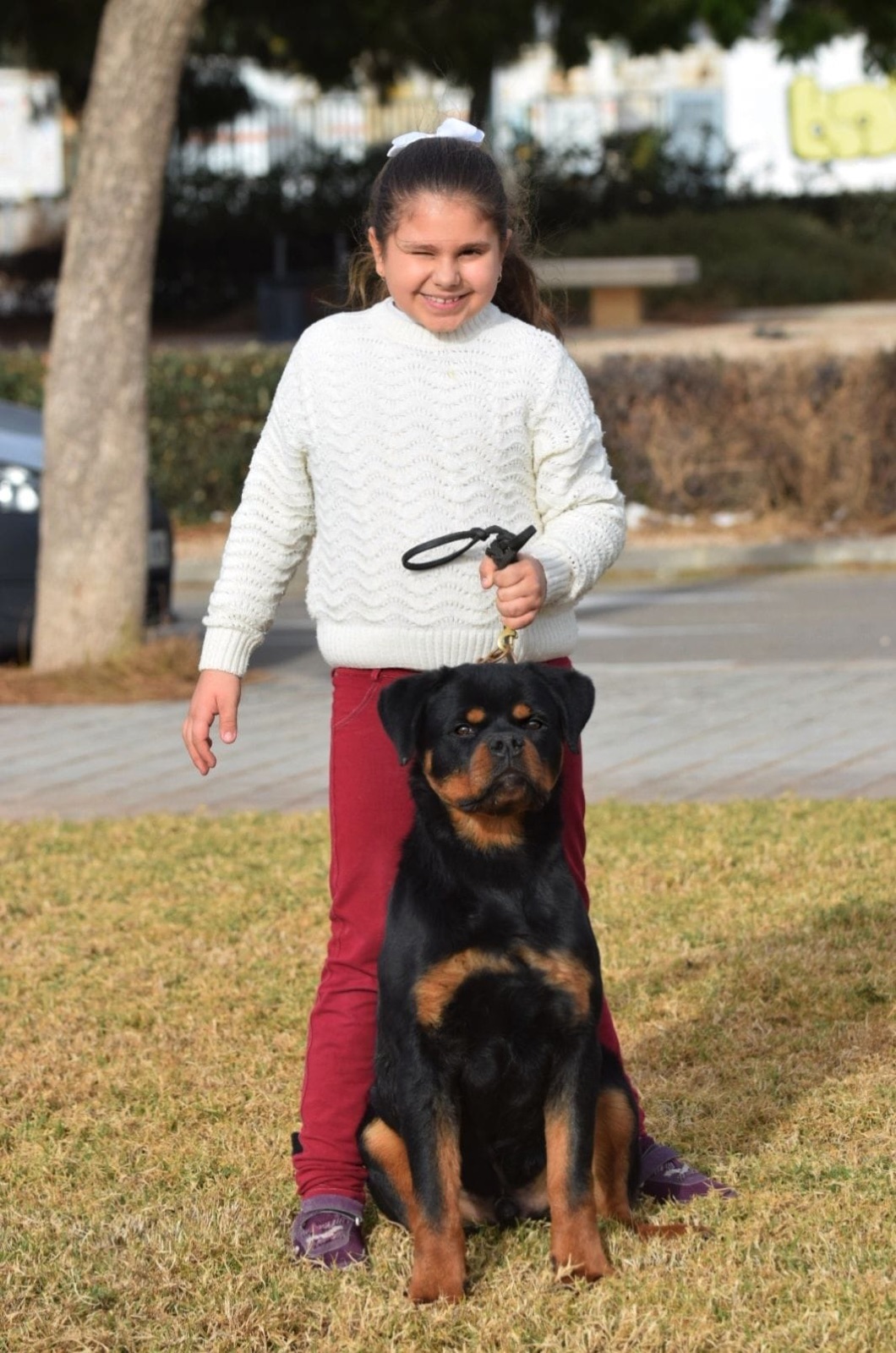 Rottweiler joven de Rottvale Kennel presentado por una niña