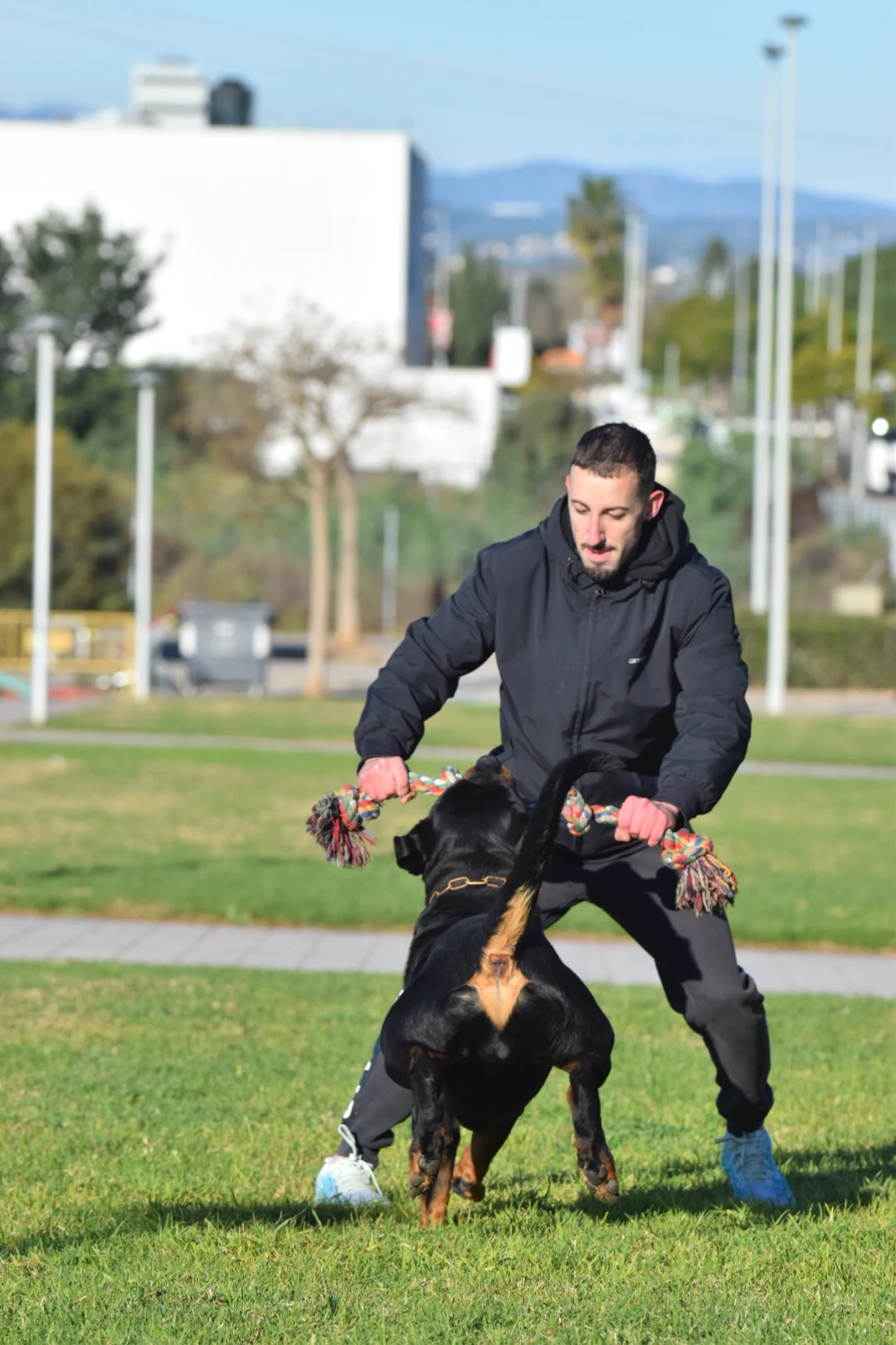 KAISER DE ROTTVALE (Turbo de Rottvale x Frozen de Rottvale)